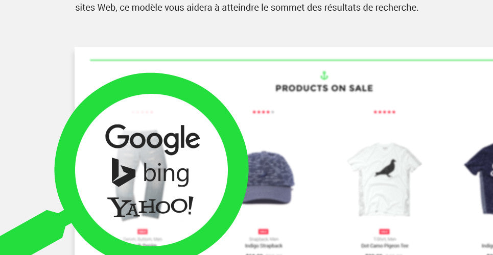 WooCommerce Themes - GoWebBaby.Com