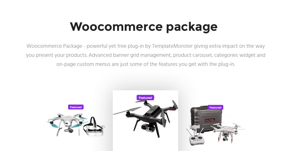 WooCommerce Themes - GoWebBaby.Com