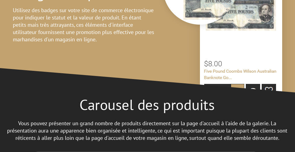 Shopify Themes - GoWebBaby.Com