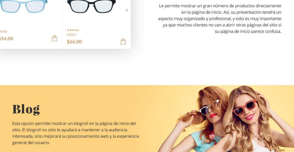 Eyewear Store Magento Website Design - GoWebBaby.Com