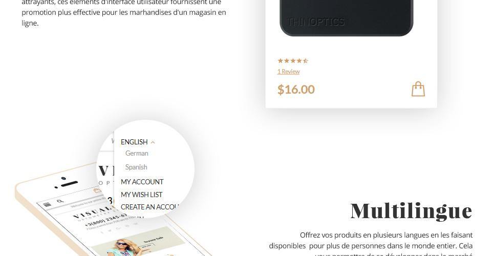 Eyewear Store Magento Website Design - GoWebBaby.Com