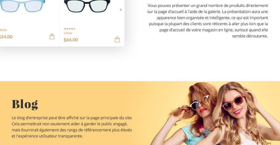 Eyewear Store Magento Website Design - GoWebBaby.Com