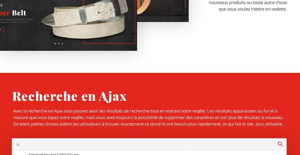 Belts and Wallets Magento Website Design - GoWebBaby.Com