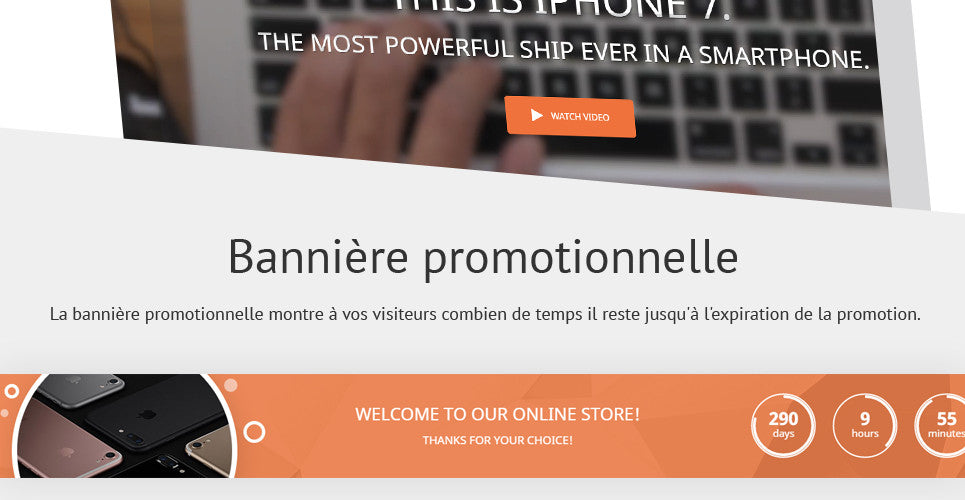 Shopify Themes - GoWebBaby.Com