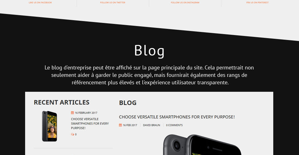 Shopify Themes - GoWebBaby.Com
