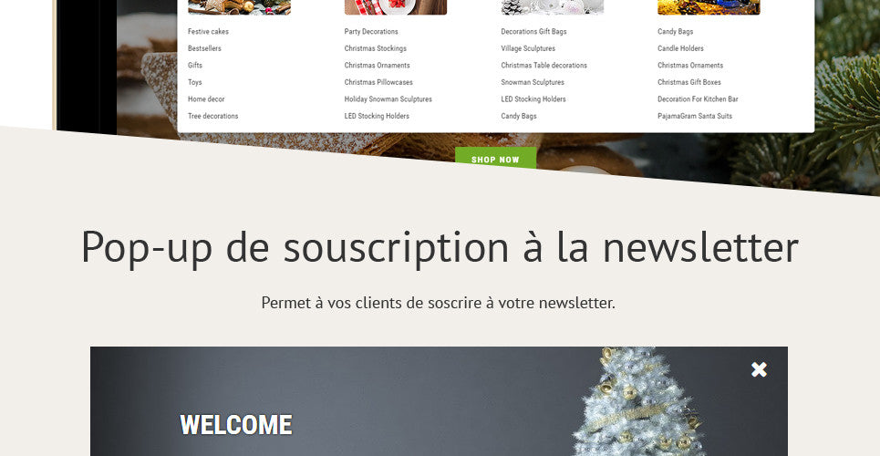 Shopify Themes - GoWebBaby.Com