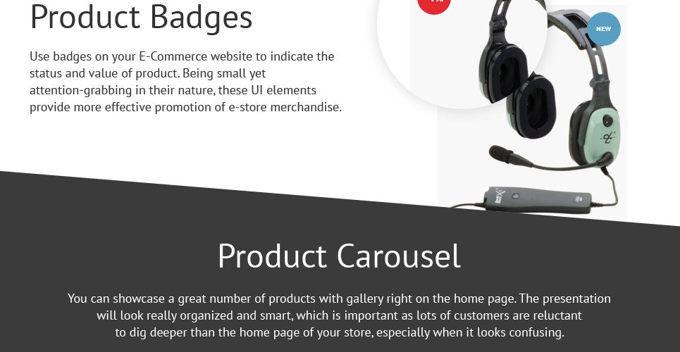 Shopify Themes - GoWebBaby.Com