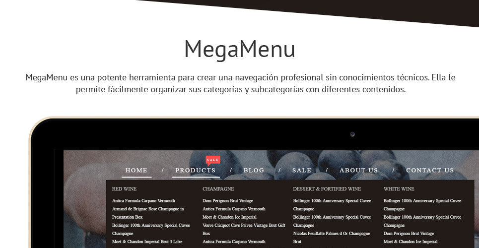 Shopify Themes - GoWebBaby.Com