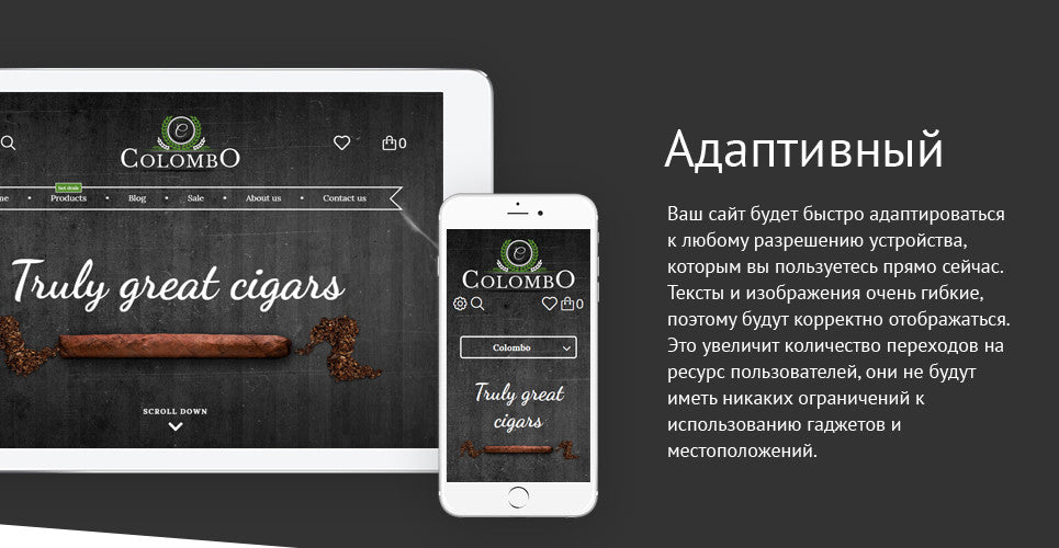 Shopify Themes - GoWebBaby.Com