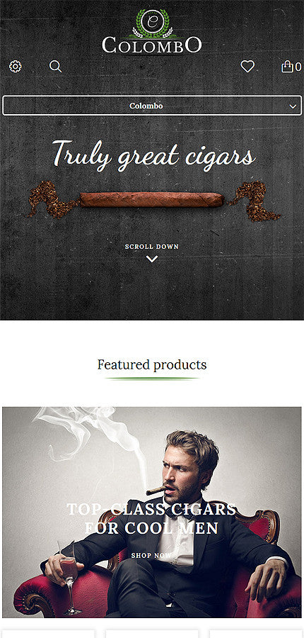 Shopify Themes - GoWebBaby.Com