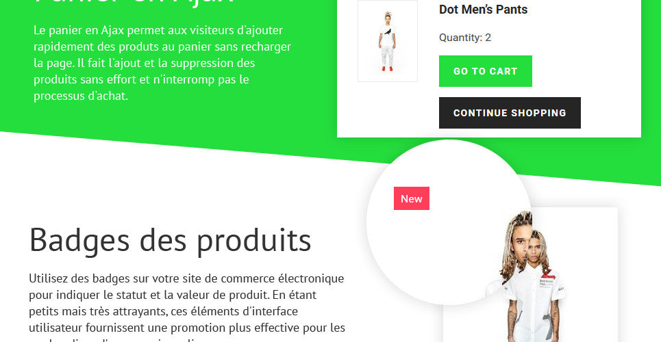 Shopify Themes - GoWebBaby.Com