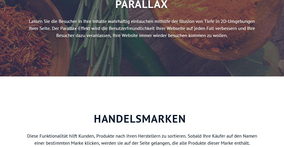 Spice Shop - Magento Website Design - GoWebBaby.Com