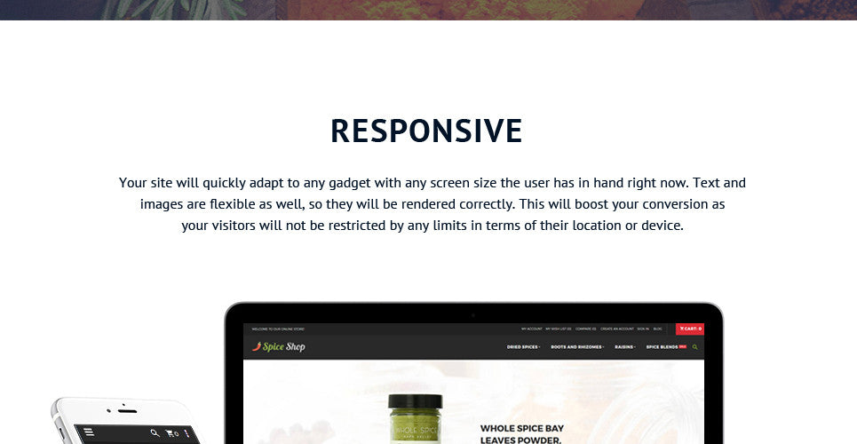 Spice Shop - Magento Website Design - GoWebBaby.Com