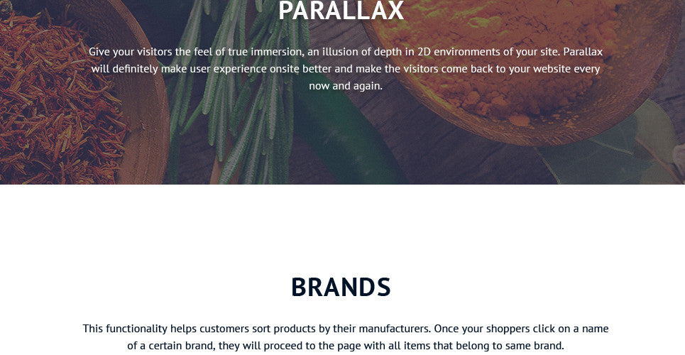 Spice Shop - Magento Website Design - GoWebBaby.Com