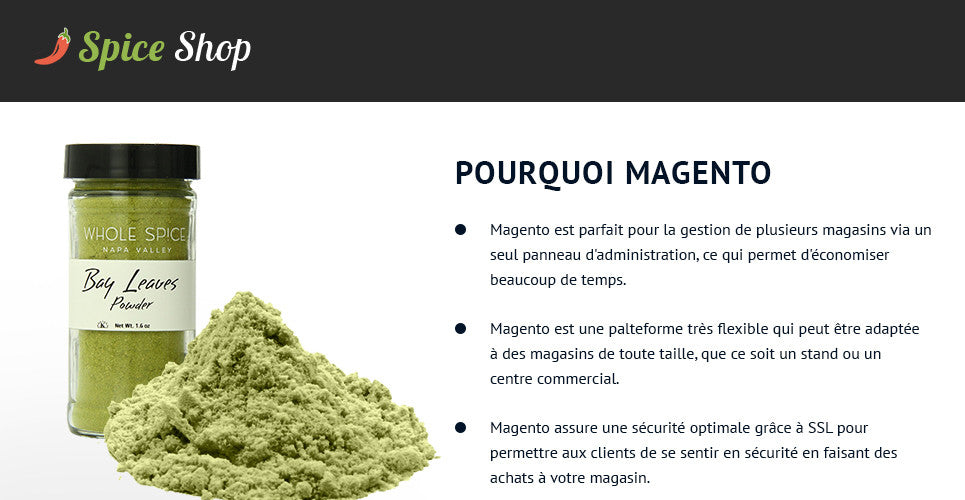 Spice Shop - Magento Website Design - GoWebBaby.Com