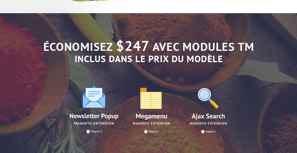 Spice Shop - Magento Website Design - GoWebBaby.Com