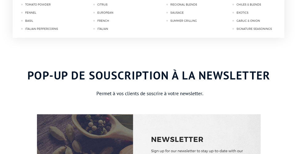 Spice Shop - Magento Website Design - GoWebBaby.Com