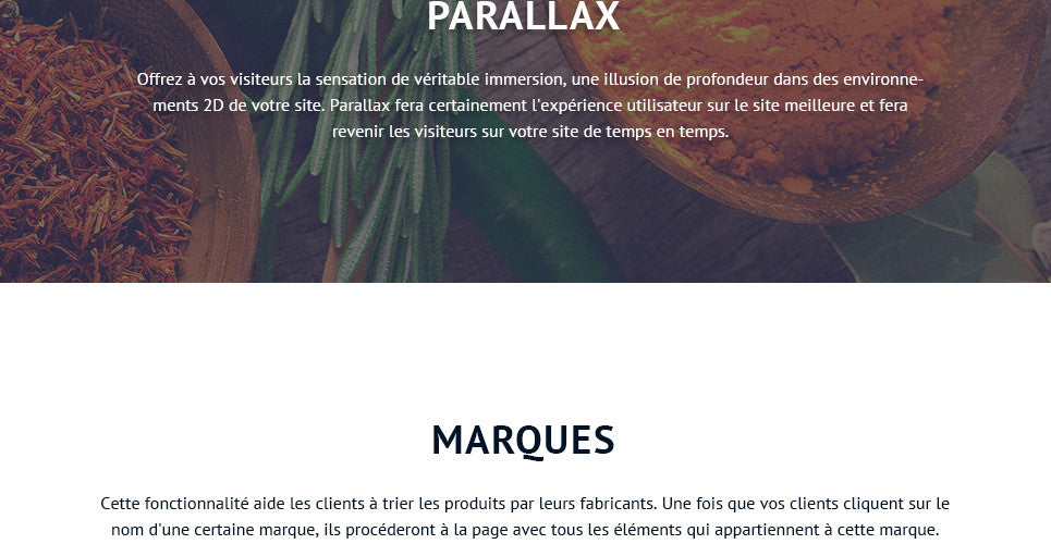 Spice Shop - Magento Website Design - GoWebBaby.Com