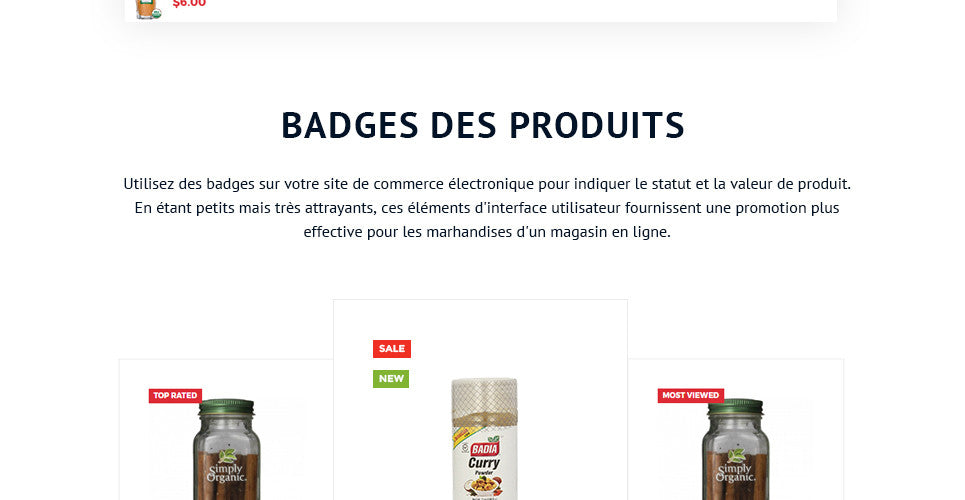 Spice Shop - Magento Website Design - GoWebBaby.Com