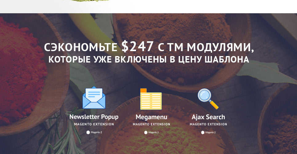 Spice Shop - Magento Website Design - GoWebBaby.Com