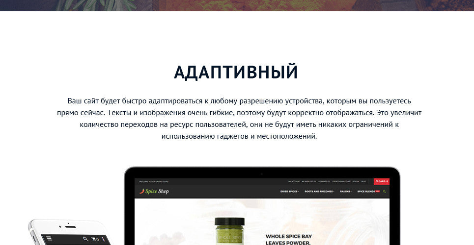 Spice Shop - Magento Website Design - GoWebBaby.Com