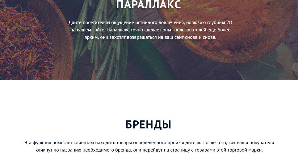 Spice Shop - Magento Website Design - GoWebBaby.Com
