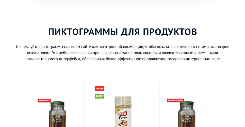 Spice Shop - Magento Website Design - GoWebBaby.Com