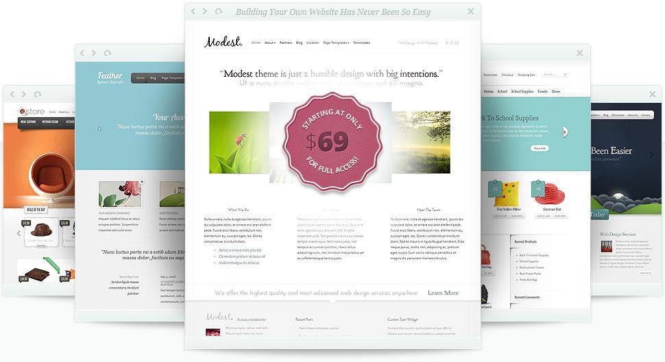 8 Critical WordPress Features That Can Make Your Business Sky-Rocket - GoWebBaby.Com