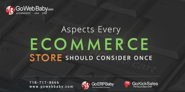 Aspects of Running an Ecommerce Store in Digital Environment - GoWebBaby.Com