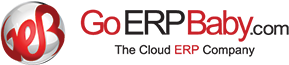 Custom ERP Solution - GoWebBaby.Com