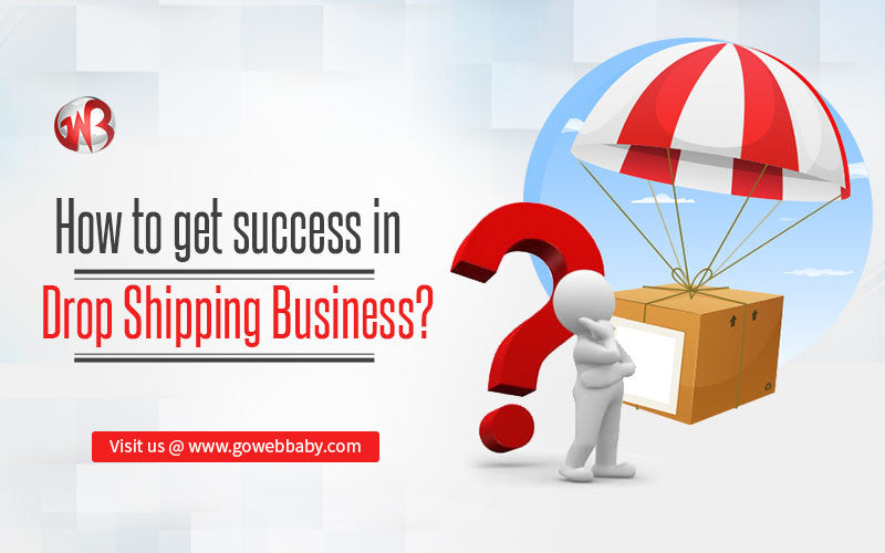 How to Get Success in Dropshipping Business?