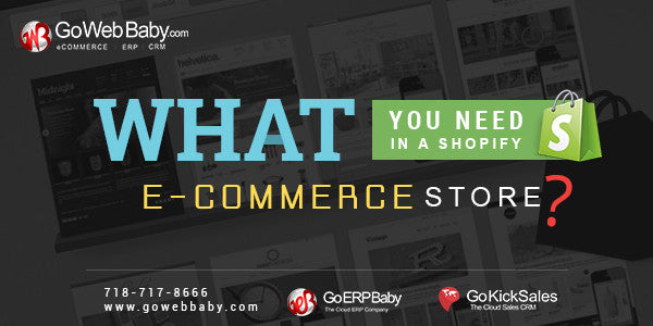 What You Need in a Shopify E-Commerce Store?