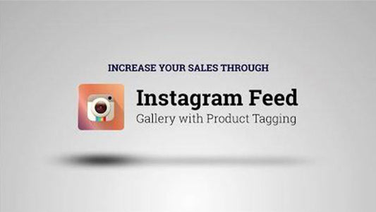 Instagram Feed Gallery with Product Tagging Light Theme 02