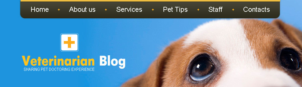 WordPress Themes - GoWebBaby.Com