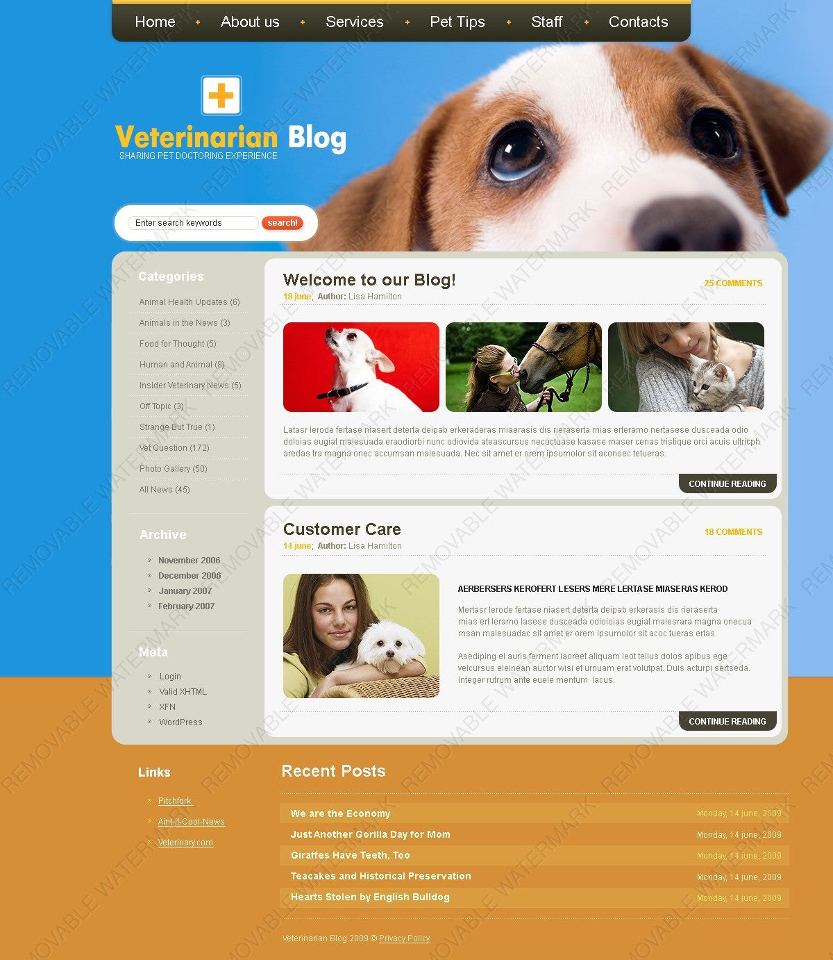 WordPress Themes - GoWebBaby.Com