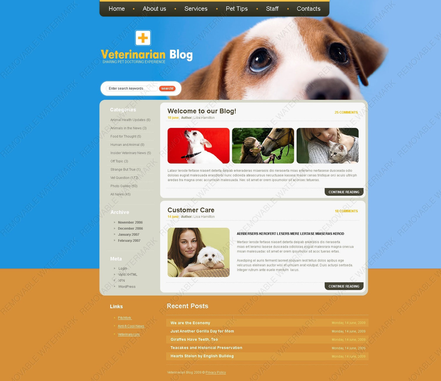 WordPress Themes - GoWebBaby.Com