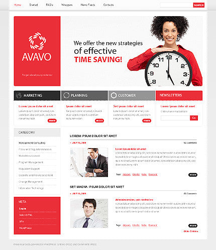 WordPress Themes - GoWebBaby.Com