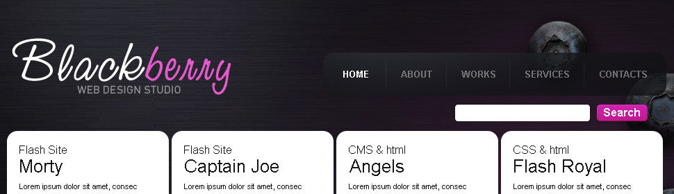 WordPress Themes - GoWebBaby.Com