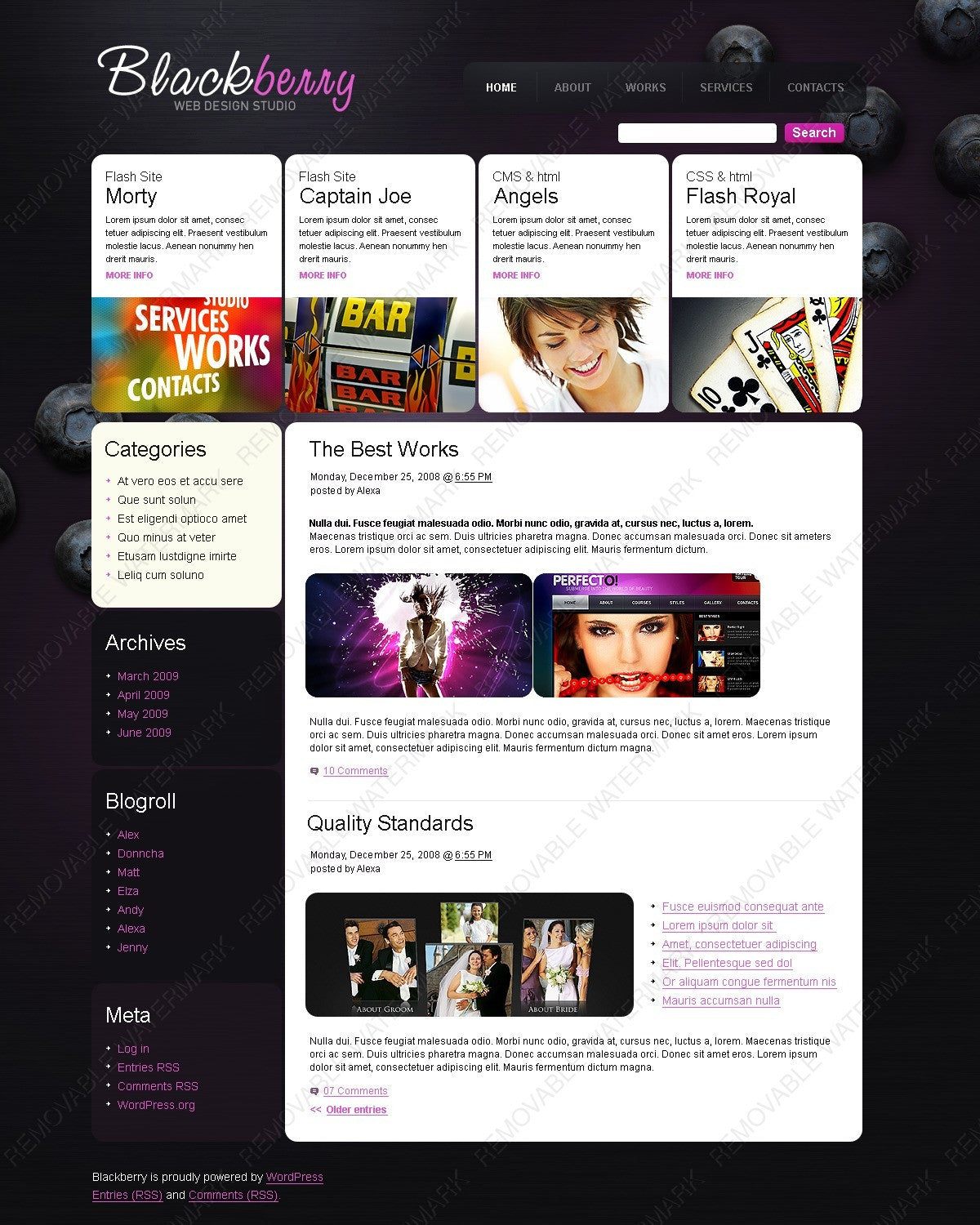 WordPress Themes - GoWebBaby.Com