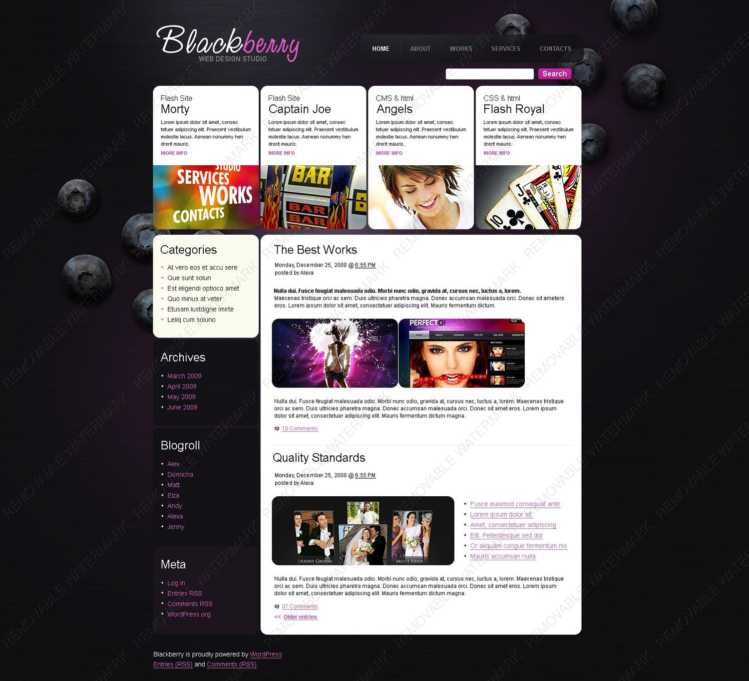 WordPress Themes - GoWebBaby.Com