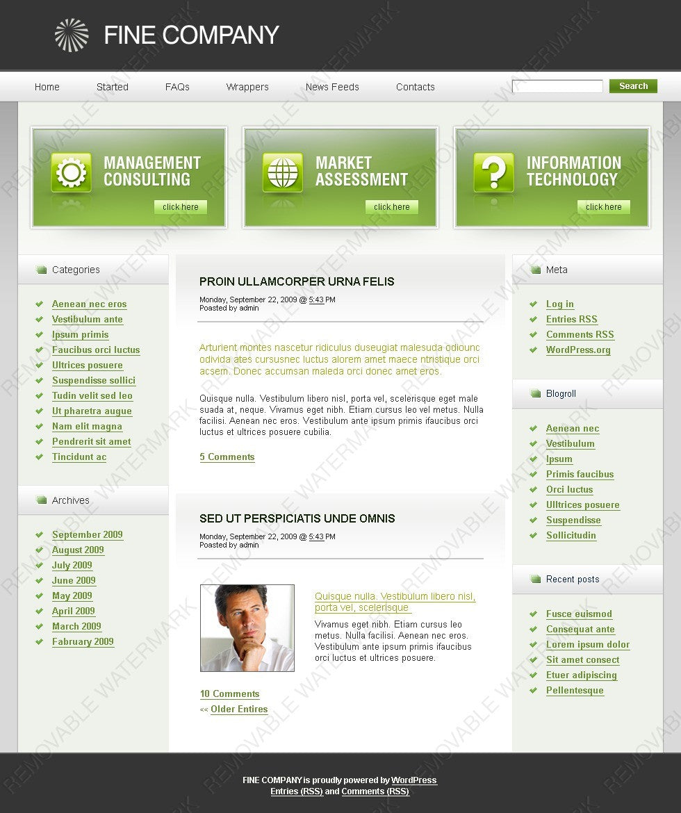 WordPress Themes - GoWebBaby.Com