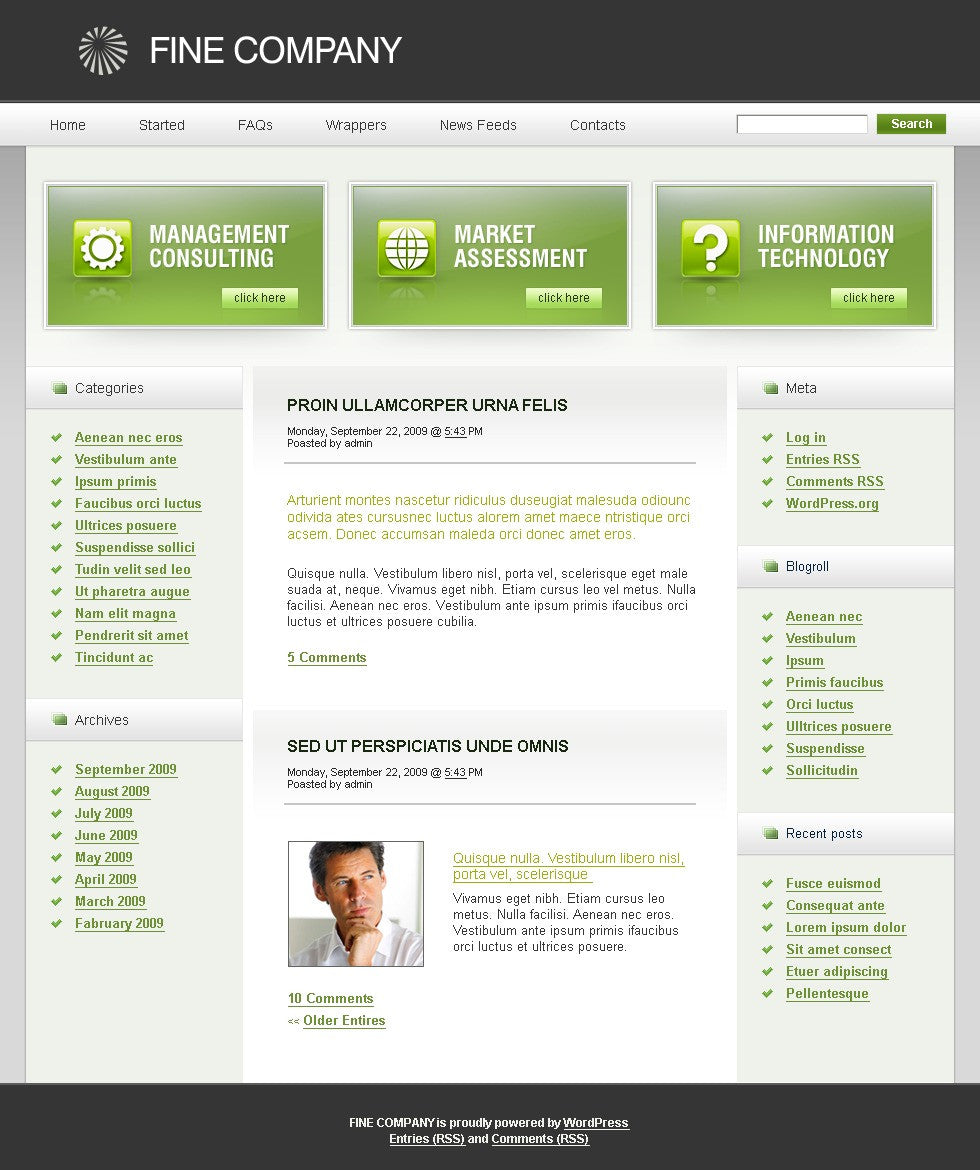 WordPress Themes - GoWebBaby.Com
