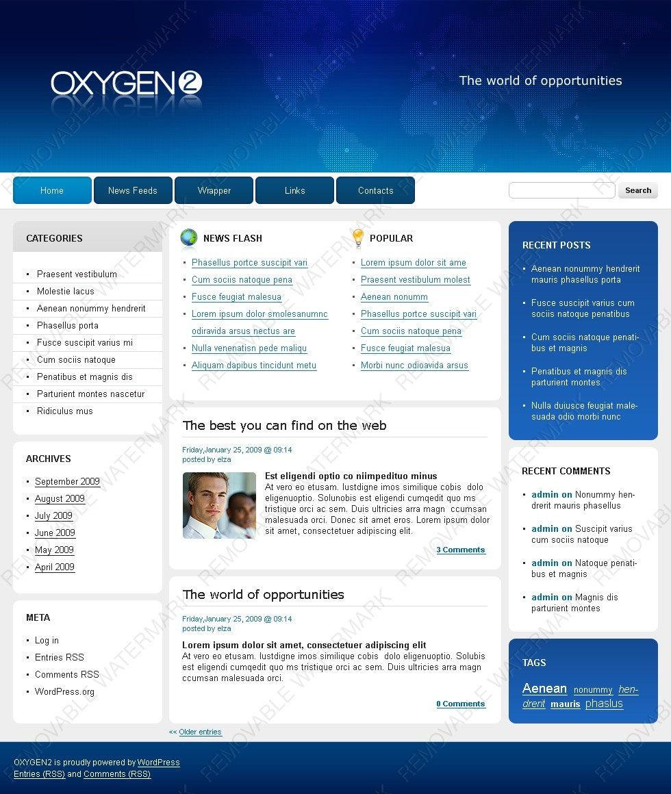 WordPress Themes - GoWebBaby.Com