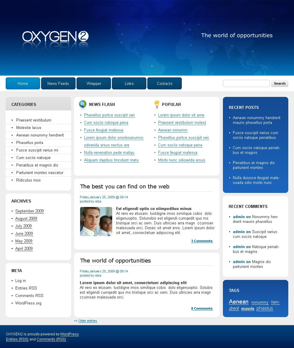 WordPress Themes - GoWebBaby.Com