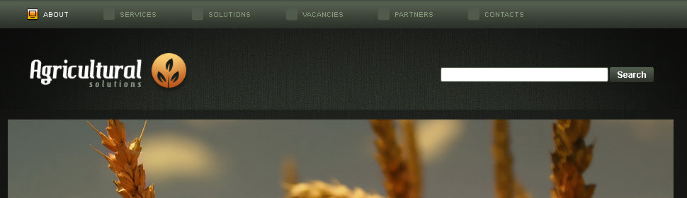 WordPress Themes - GoWebBaby.Com