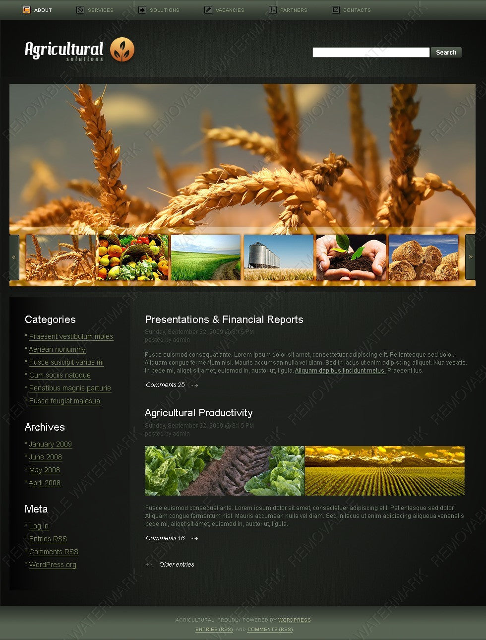 WordPress Themes - GoWebBaby.Com
