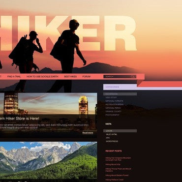 WordPress Themes - GoWebBaby.Com
