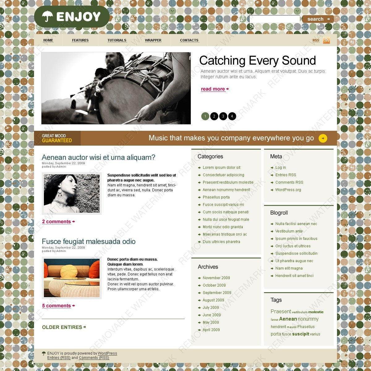 WordPress Themes - GoWebBaby.Com