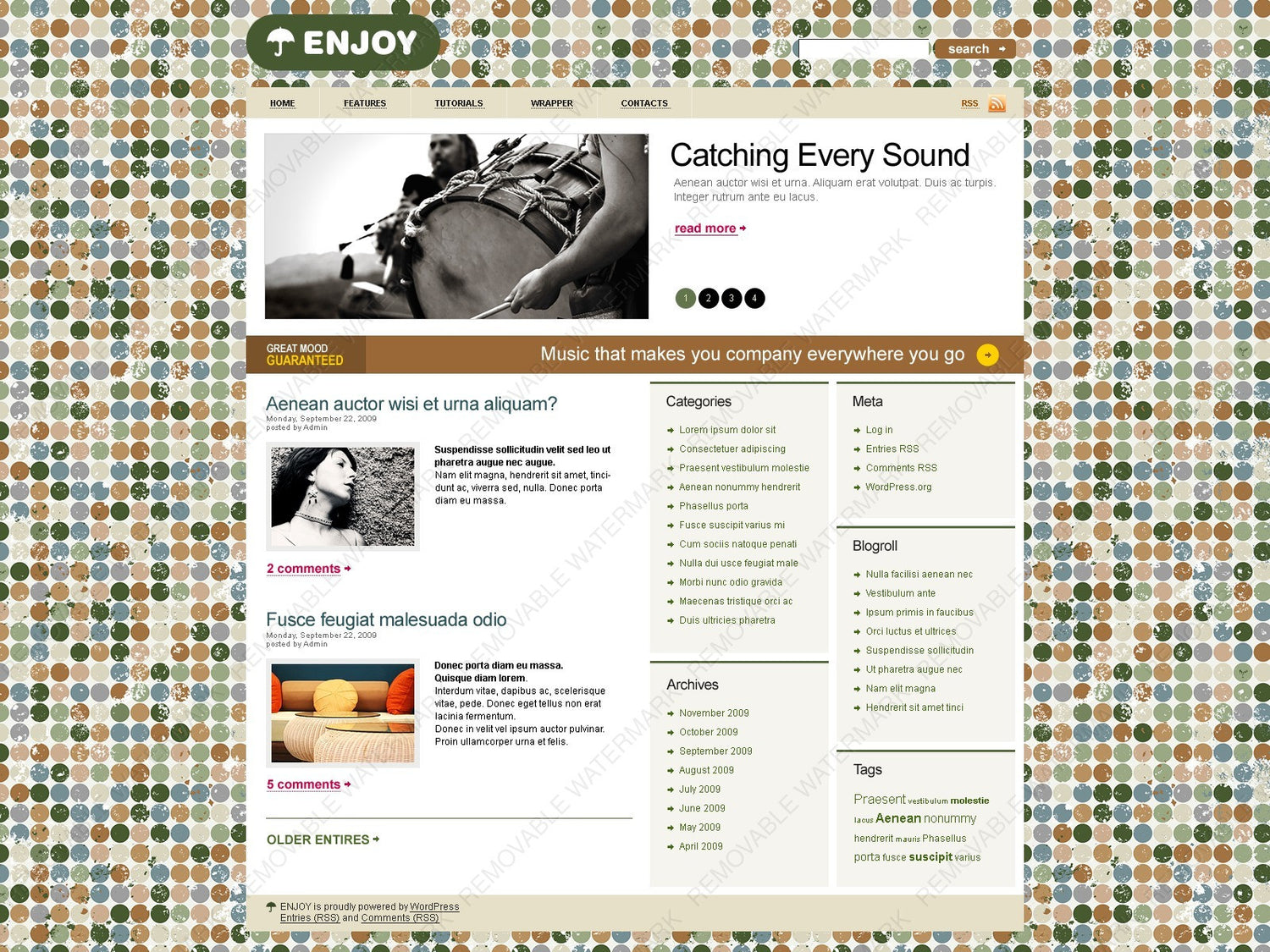 WordPress Themes - GoWebBaby.Com
