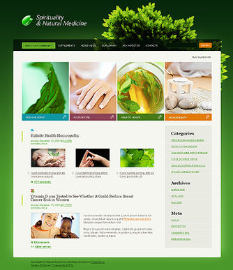 WordPress Themes - GoWebBaby.Com